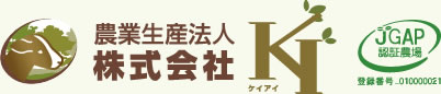 株式会社KIロゴ
